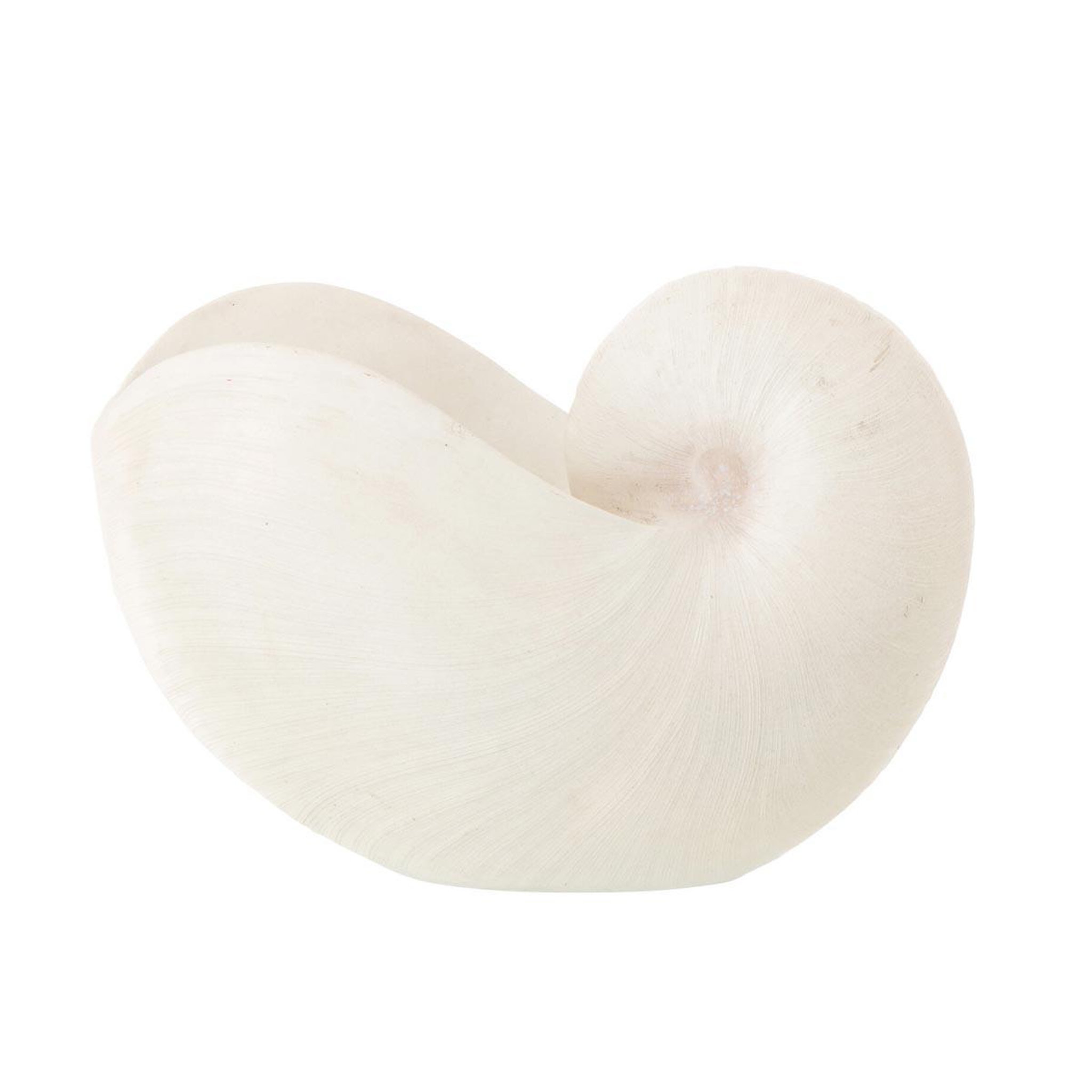 J-LINE Coquillage déco en résine  marina  31cm blanc