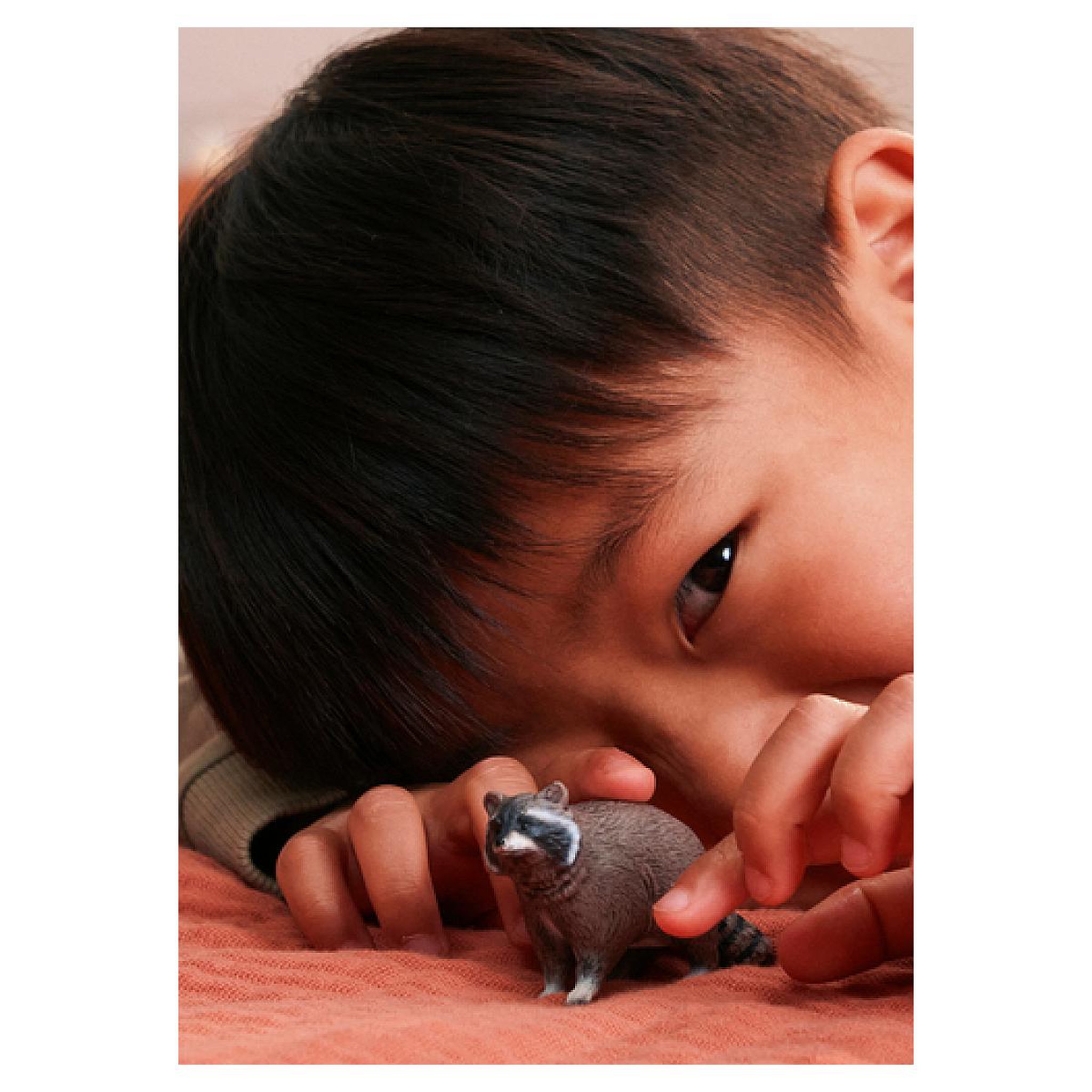 Voir la diapositive 2 : Schleich 14937 WILD LIFE Raton laveur