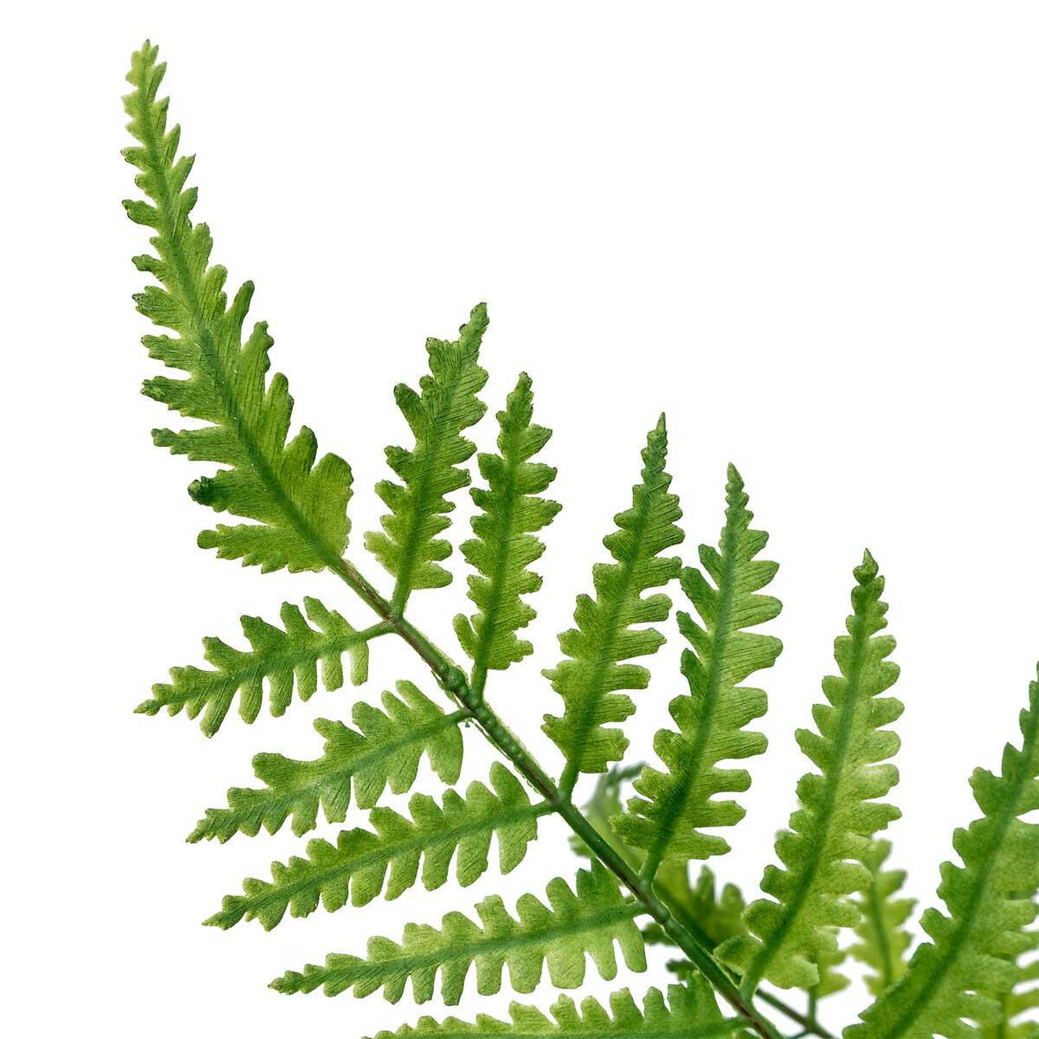 Voir la diapositive 2 : ATMOSPHERA Tige artificielle fougère  james  90cm vert