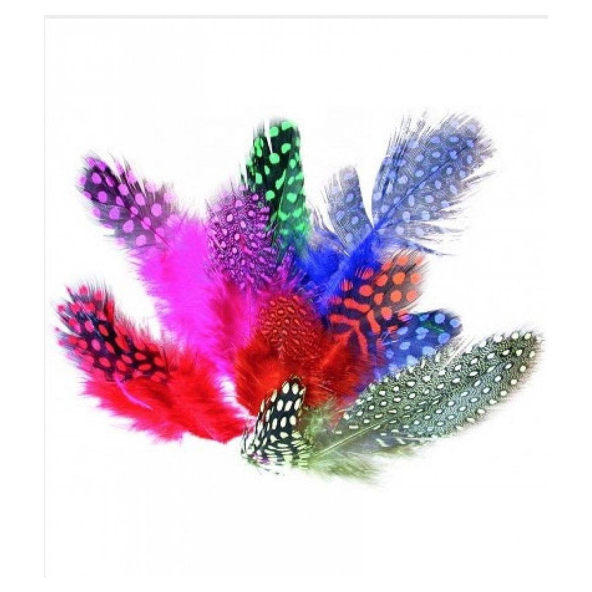 Graine créative Sachet 10g plumes pintade col. Asst