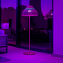 Voir la diapositive 4 : Lumisky Lampadaire sans fil ELION Beige Rotin H168cm
