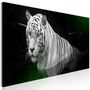 Voir la diapositive 1 : Paris Prix Tableau Imprimé  Shining Tiger Green Narrow