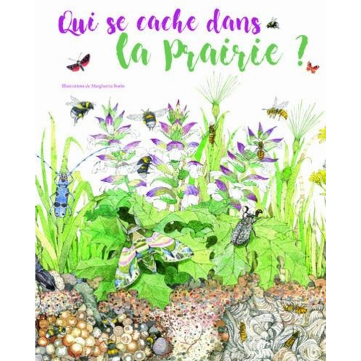 QUI SE CACHE DANS LA PRAIRIE ?, Borin Margherita