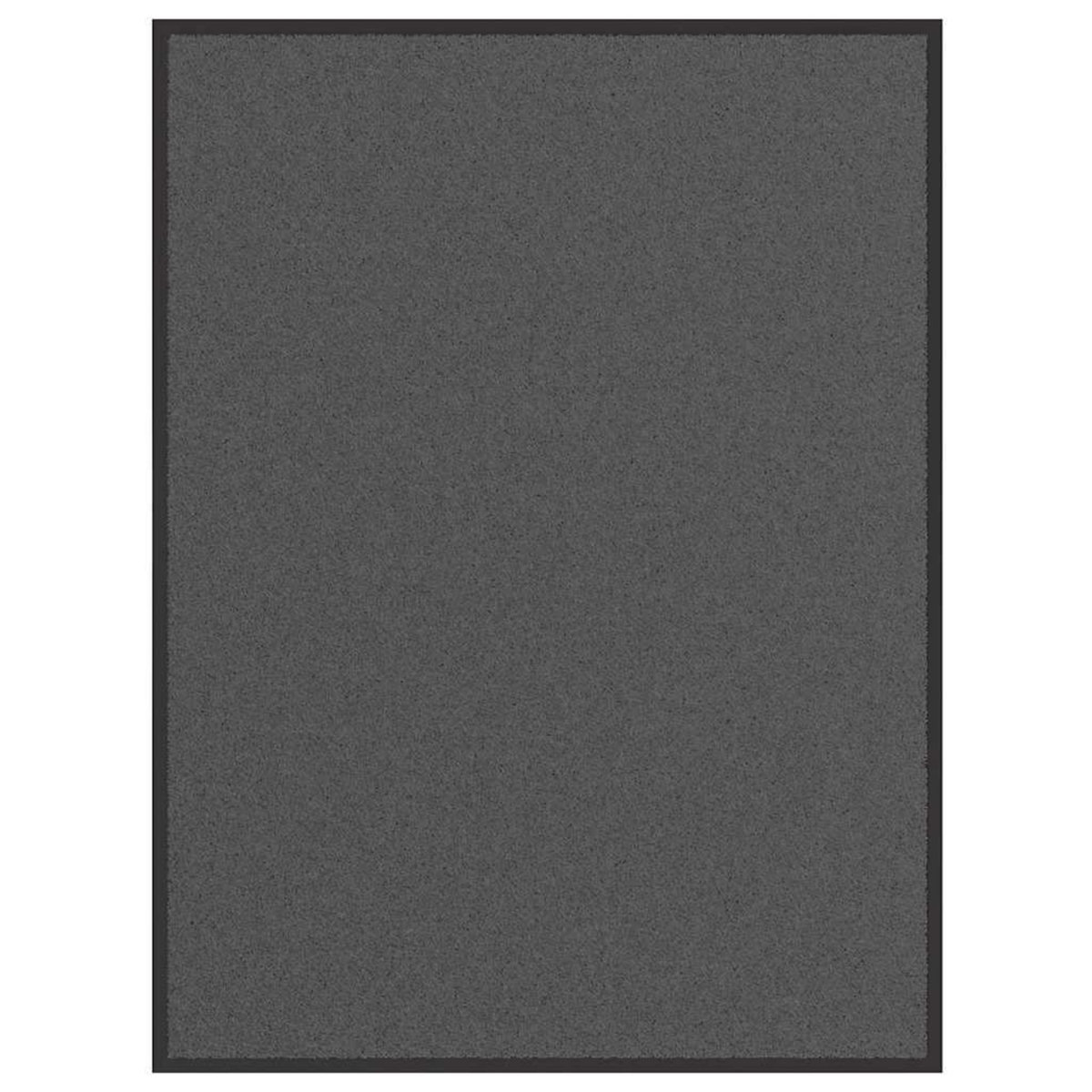 VIDAXL Paillasson Anthracite 80x120 cm