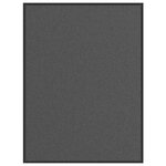 VIDAXL Paillasson Anthracite 80x120 cm