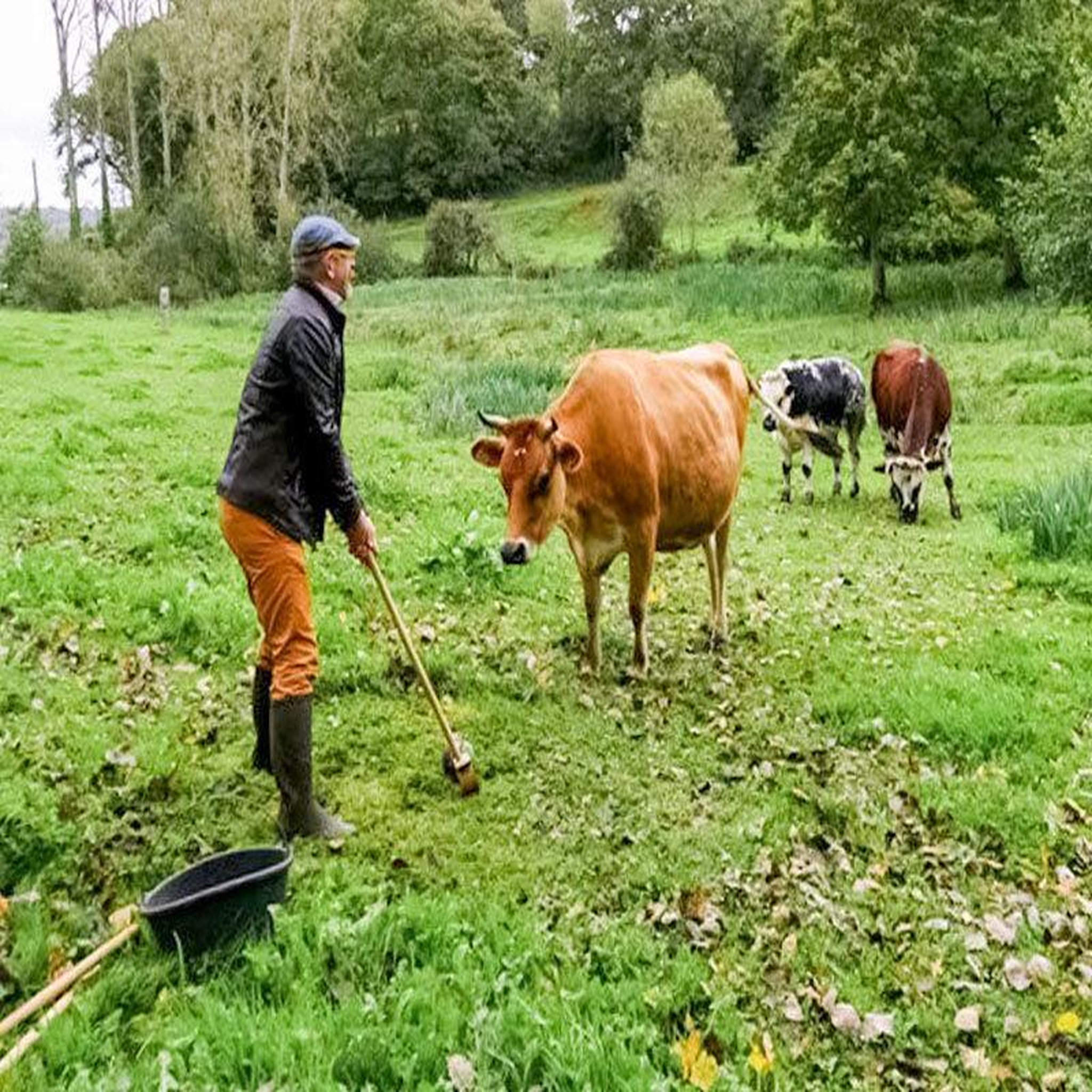 Voir la diapositive 4 : Smartbox Partie de golf en famille ou entre amis au milieu des animaux - Coffret Cadeau Sport & Aventure