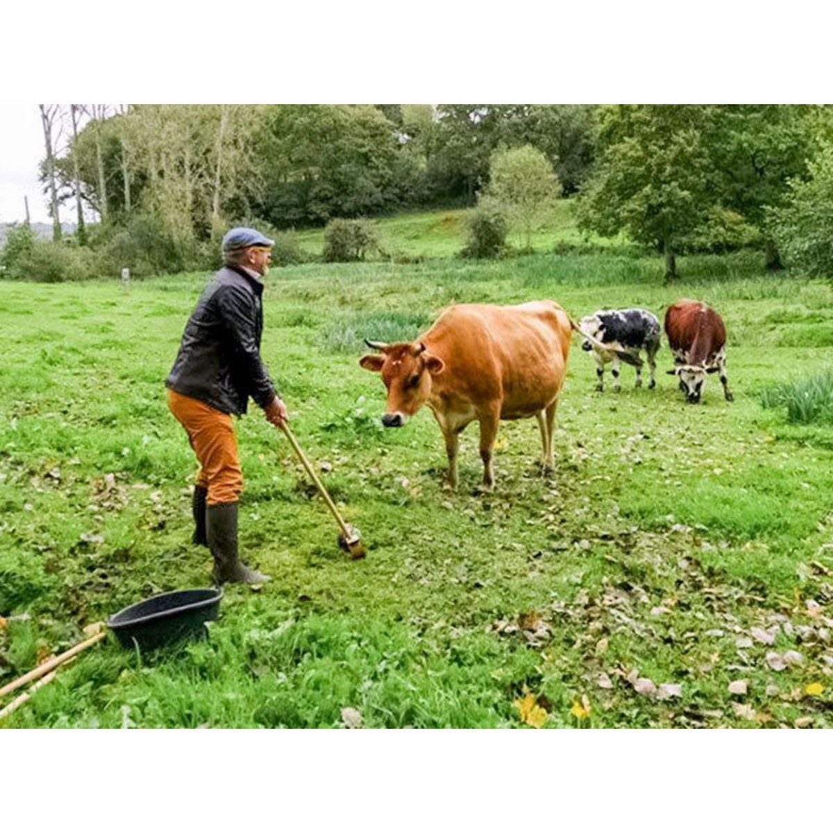 Smartbox Partie de golf en famille ou entre amis au milieu des animaux - Coffret Cadeau Sport & Aventure