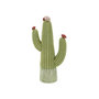 Voir la diapositive 2 : Paris Prix Cactus Déco en Résine  Jeffery  25cm Vert