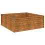 Voir la diapositive 2 : VIDAXL Lit sureleve de jardin 100x100x36 cm acier corten