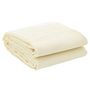Voir la diapositive 2 : VIDAXL Tapis de tente creme 3x2,5 m