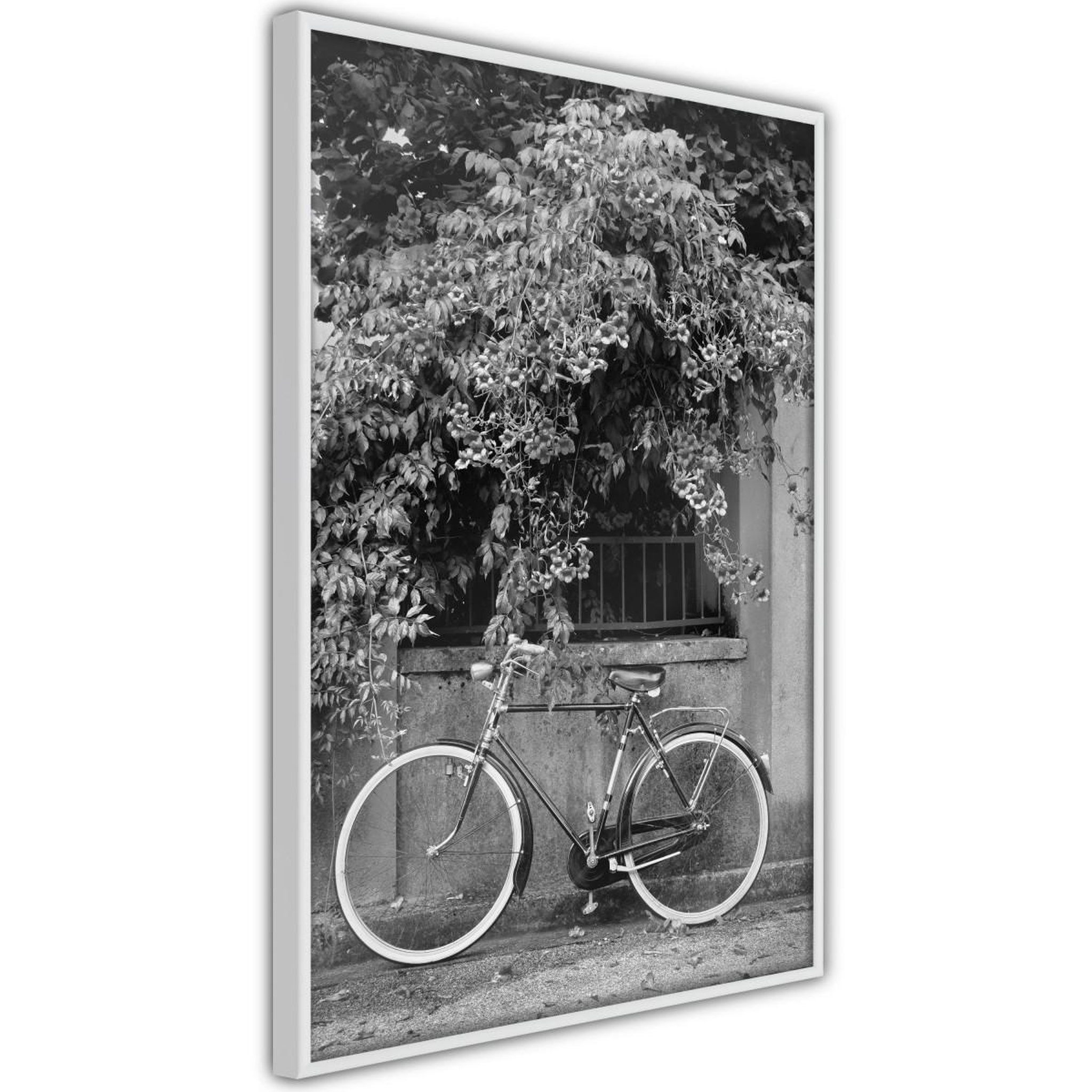 Paris Prix Affiche Murale Encadrée  Bicycle with White Tires