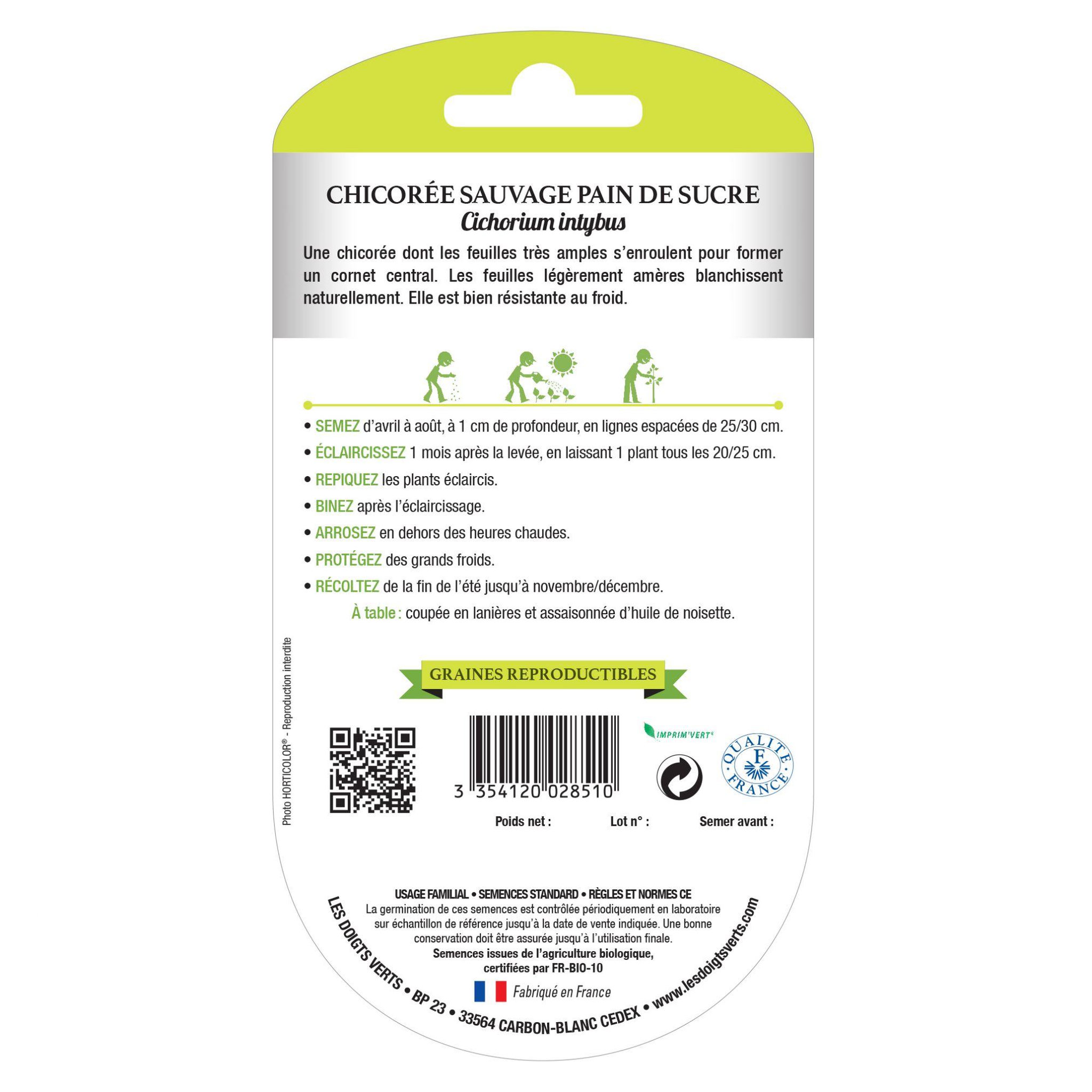 LES DOIGTS VERTS Chicorée sauvage pain de sucre bio Les Doigts Verts