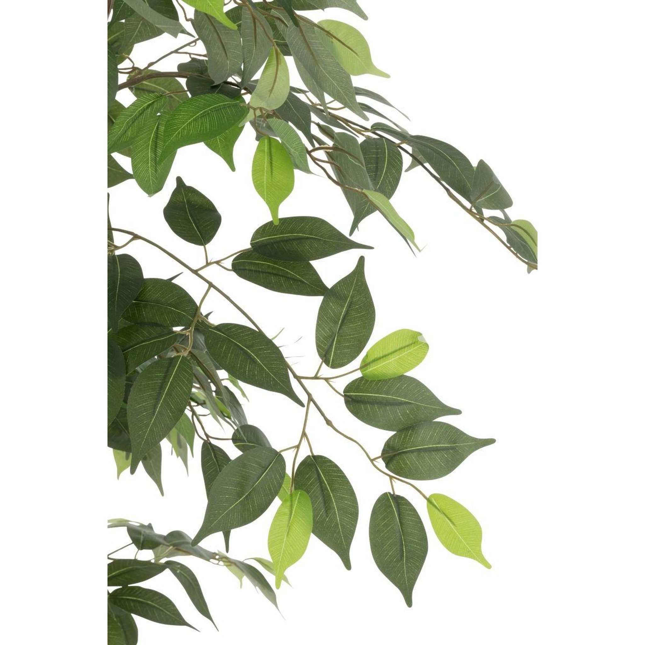 Voir la diapositive 2 : J-LINE Plante artificielle en pot  ficus  180cm vert