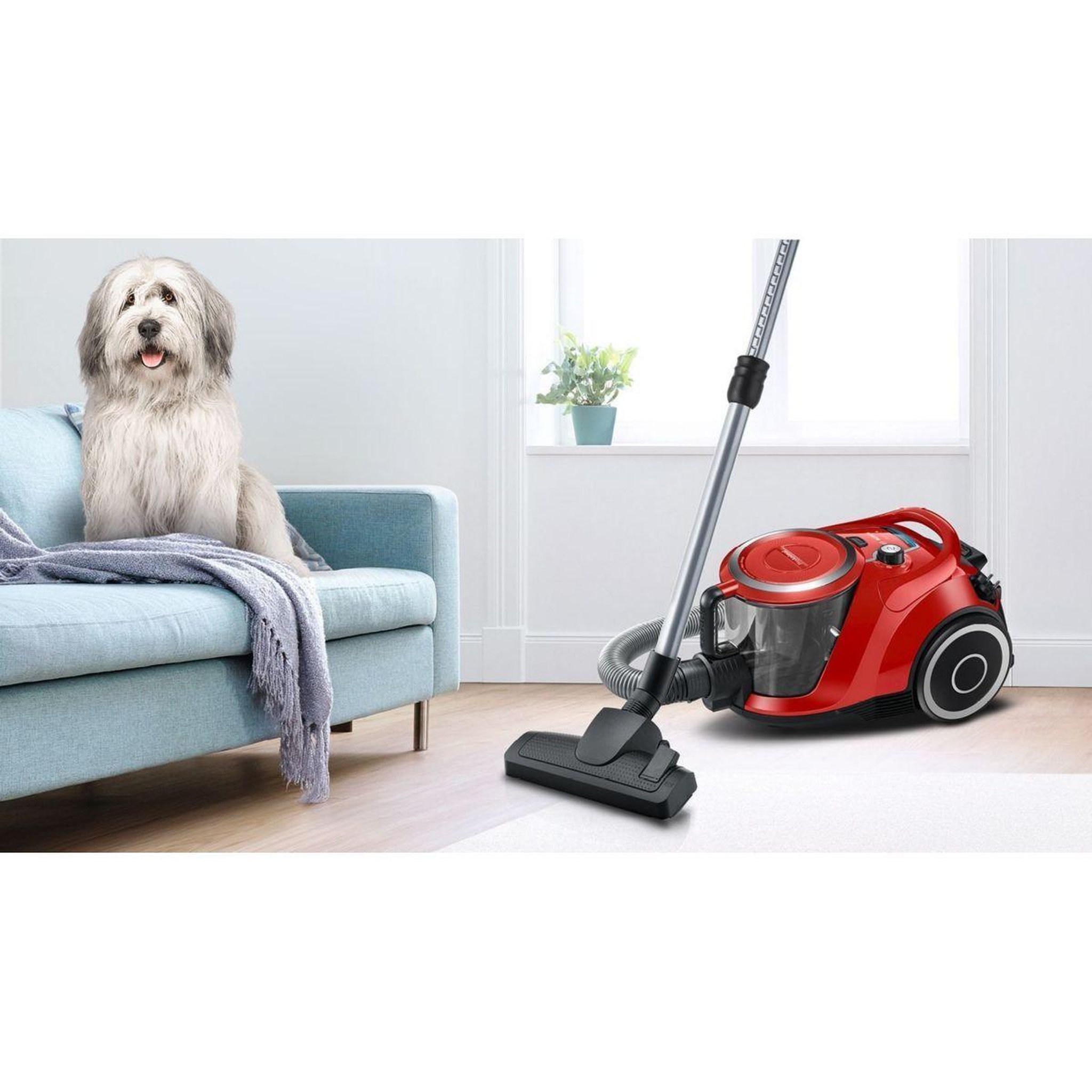 Voir la diapositive 4 : BOSCH Aspirateur sans sac pro animal rouge bgs41pet1