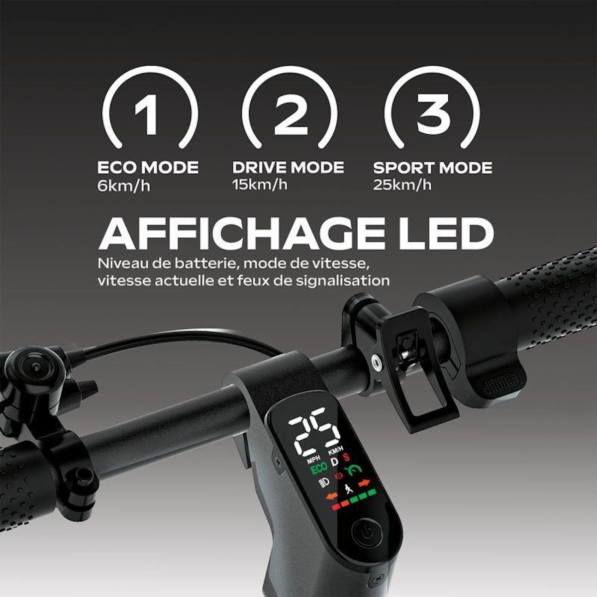 EZWAY Trottinette électrique 85 - 25 km/h, 20 km d'autonomie, batterie 21,6V 7,8Ah, frein à disque, suspensions confort