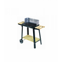 Voir la diapositive 1 : CONCEPT USINE Barbecue mobile au charbon de bois 48 x 28 cm BUFFALO