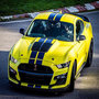 Voir la diapositive 2 : Smartbox Stage de pilotage : 3 tours sur le circuit du Luc en Ford Mustang Shelby GT500 - Coffret Cadeau Sport & Aventure