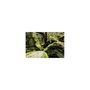 Voir la diapositive 4 : Canon Objectif zoom Canon RF 14 35mm f 4L IS USM