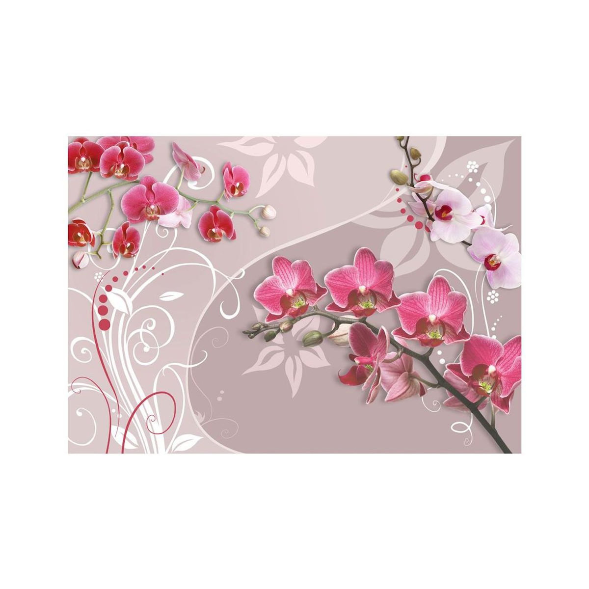 Paris Prix Papier Peint  Flight of Pink Orchids