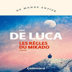 LES REGLES DU MIKADO, De Luca Erri