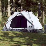 VIDAXL Tente de camping a dome 2 personnes liberation rapide