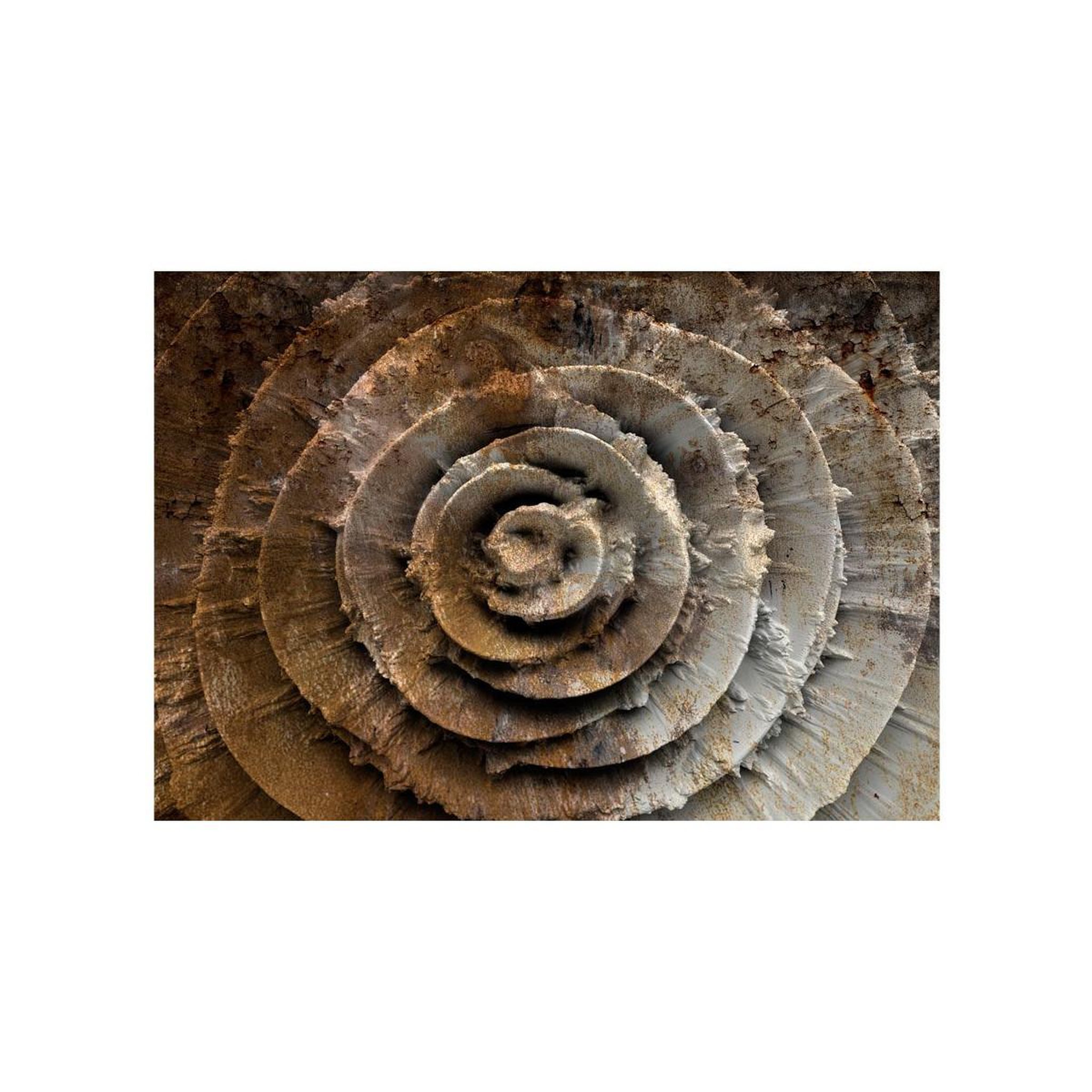 Voir la diapositive 2 : Paris Prix Papier Peint  Desert Rose