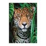 Voir la diapositive 2 : CLEMENTONI CLEMENTONI - Compact 500 pieces - Jaguar in the jungle