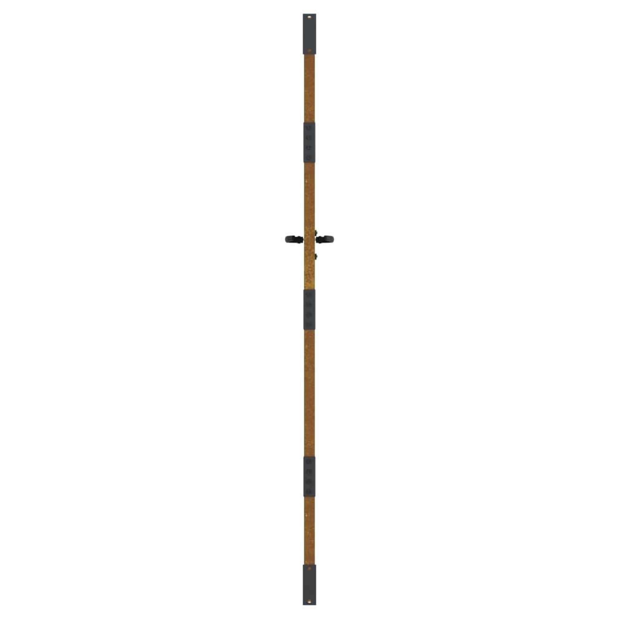 Voir la diapositive 5 : VIDAXL Portail de jardin 85x175 cm acier corten conception d'herbe