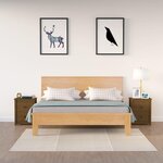 VIDAXL Tables de chevet 2pcs Marron miel 50x35x61,5 cm Bois pin massif