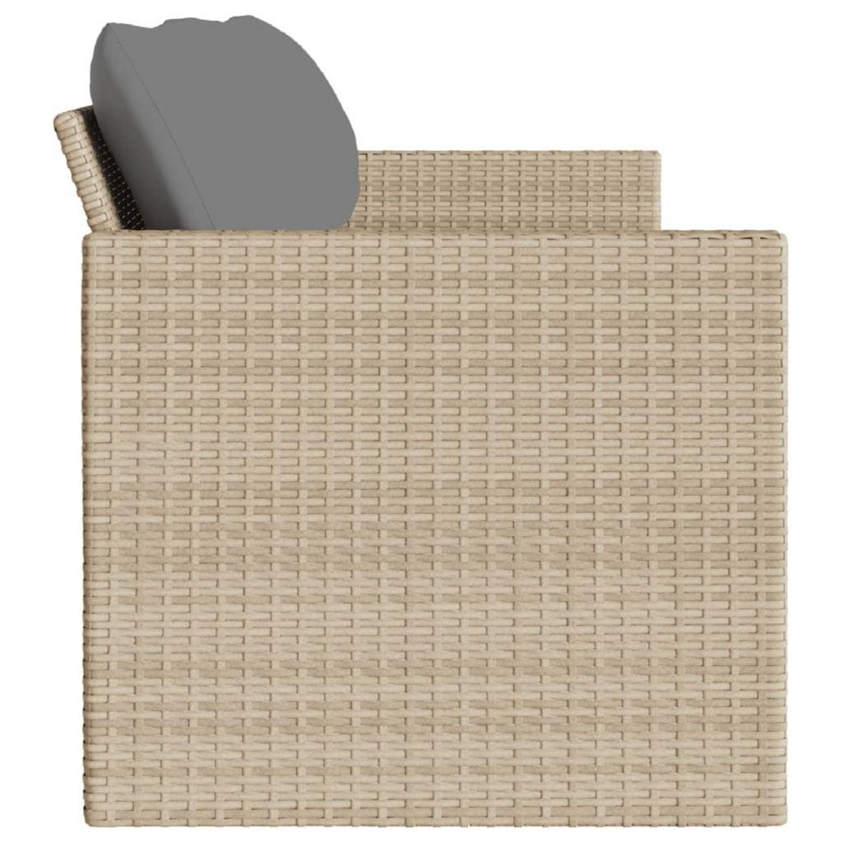 VIDAXL Canape de jardin avec coussins 3 places beige resine tressee