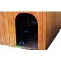 Voir la diapositive 2 : Niche petit chien Lintig