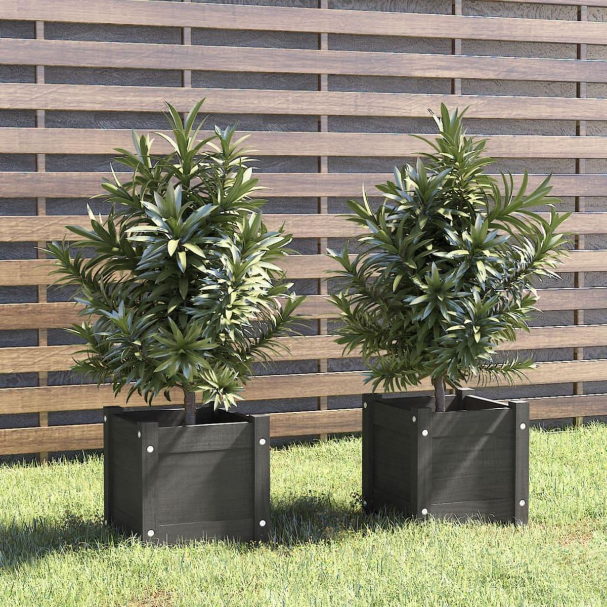 VIDAXL Jardinieres d'exterieur 2 pcs Gris 31x31x31 cm Bois de pin