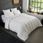 DODO Couette Nuits Calmes - Anti-Acariens -Tempérée. Coloris disponibles : Blanc