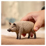 Voir la diapositive 2 : Schleich 14892 Cochon Mangalica