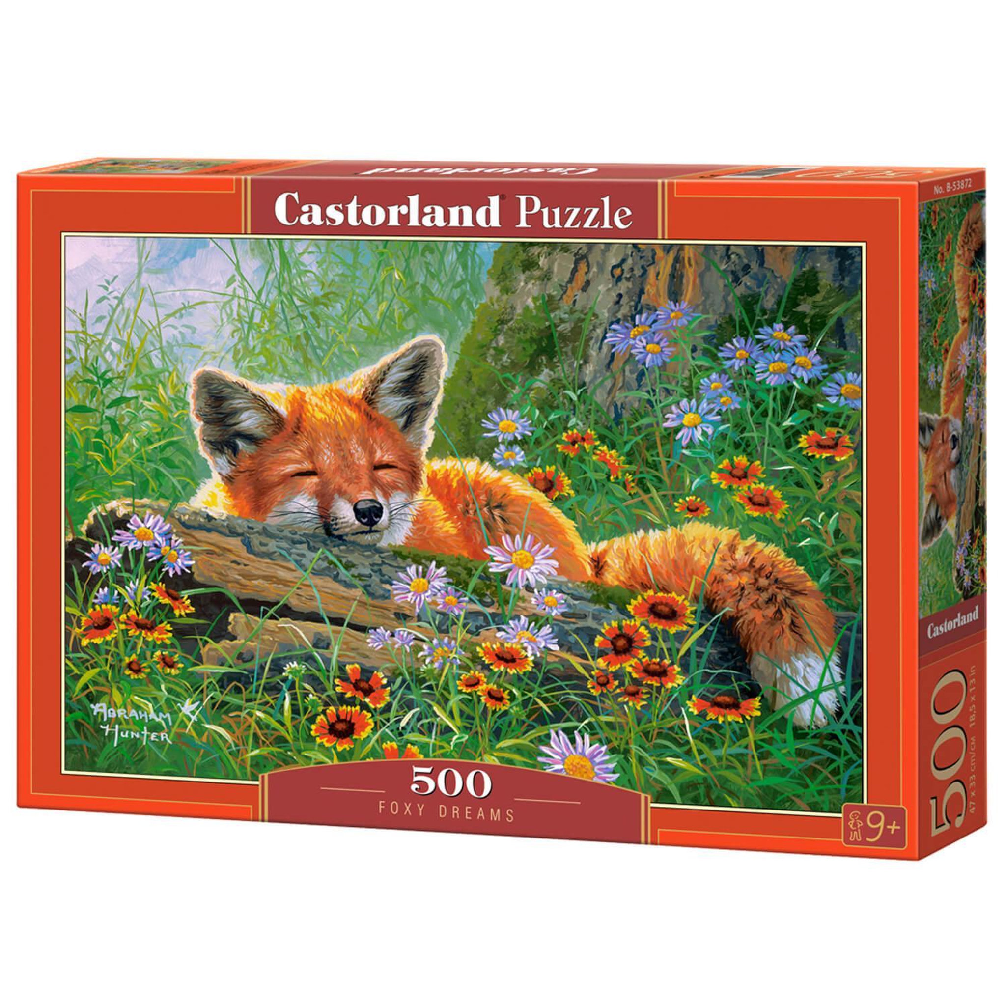 Voir la diapositive 2 : Castorland Puzzle 500 pièces : Rêves rusés