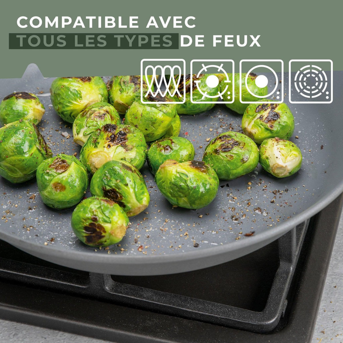 Fackelmann Poêle à frire et couvercle de cuisson de 20 cm de diamètre Fackelmann Ecolution