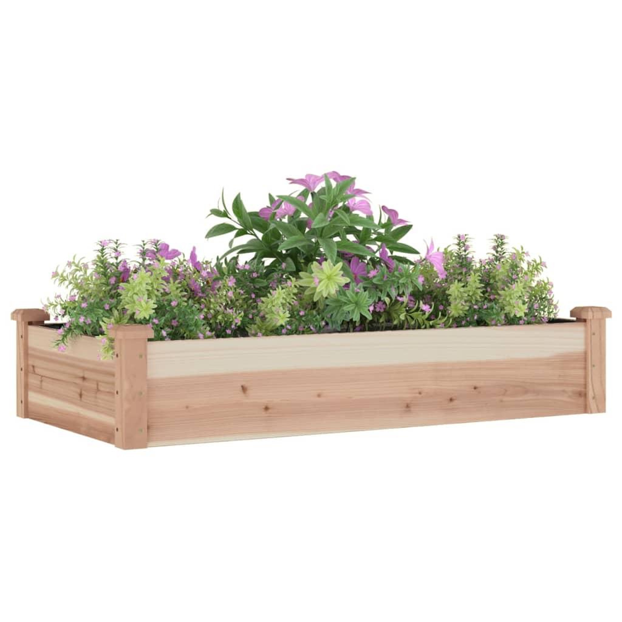 Voir la diapositive 3 : VIDAXL Lit sureleve de jardin doublure 120x60x25 cm bois massif sapin