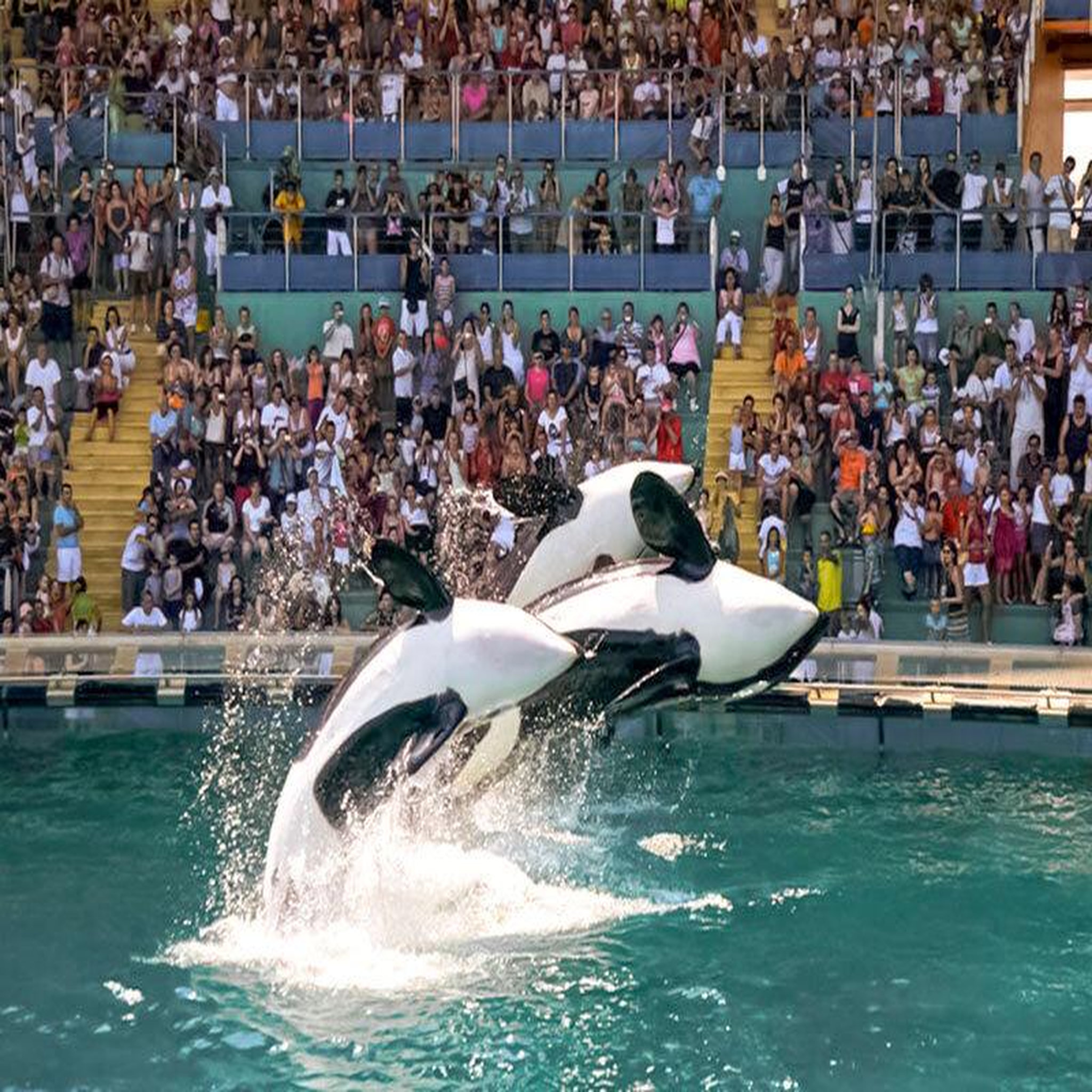 Voir la diapositive 4 : Smartbox 2 nuits avec entrée au parc aquatique pour 2 à l'hôtel marineland resort - coffret cadeau séjour