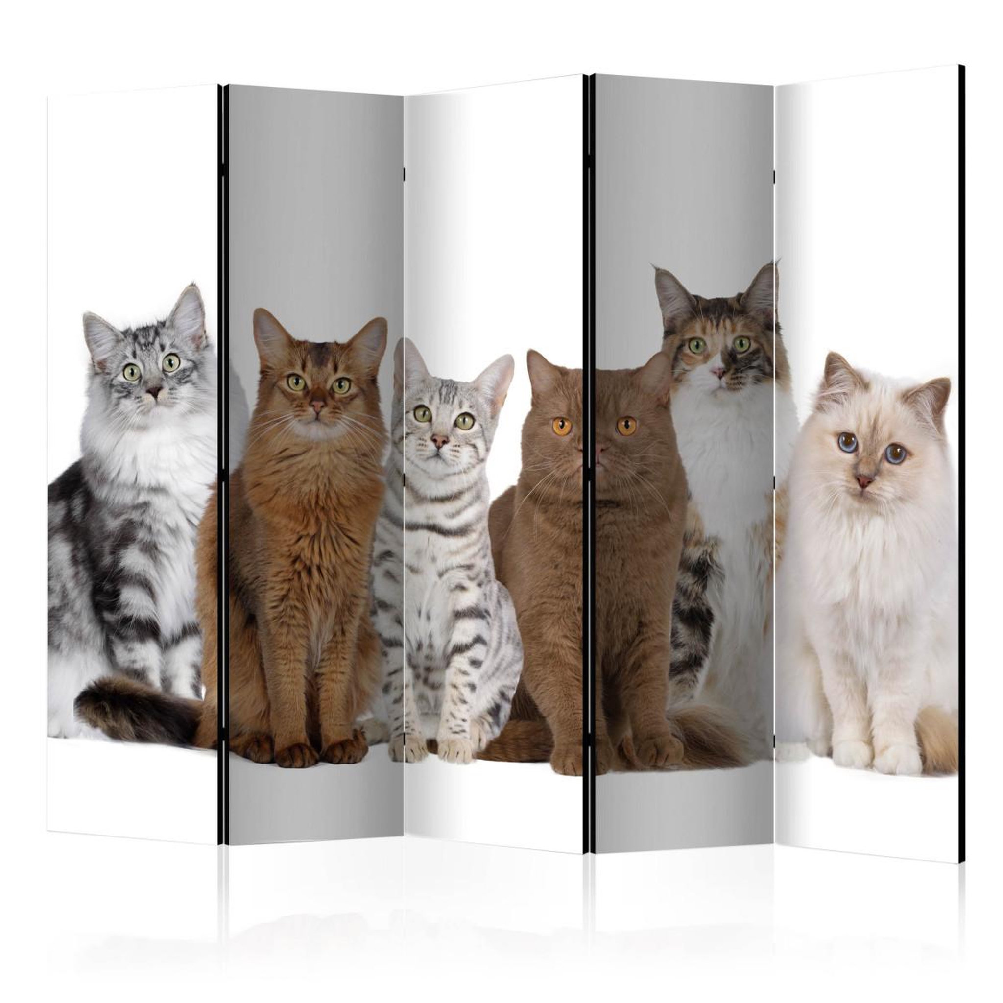 Paris Prix Paravent 5 volets  sweet cats  172x225cm