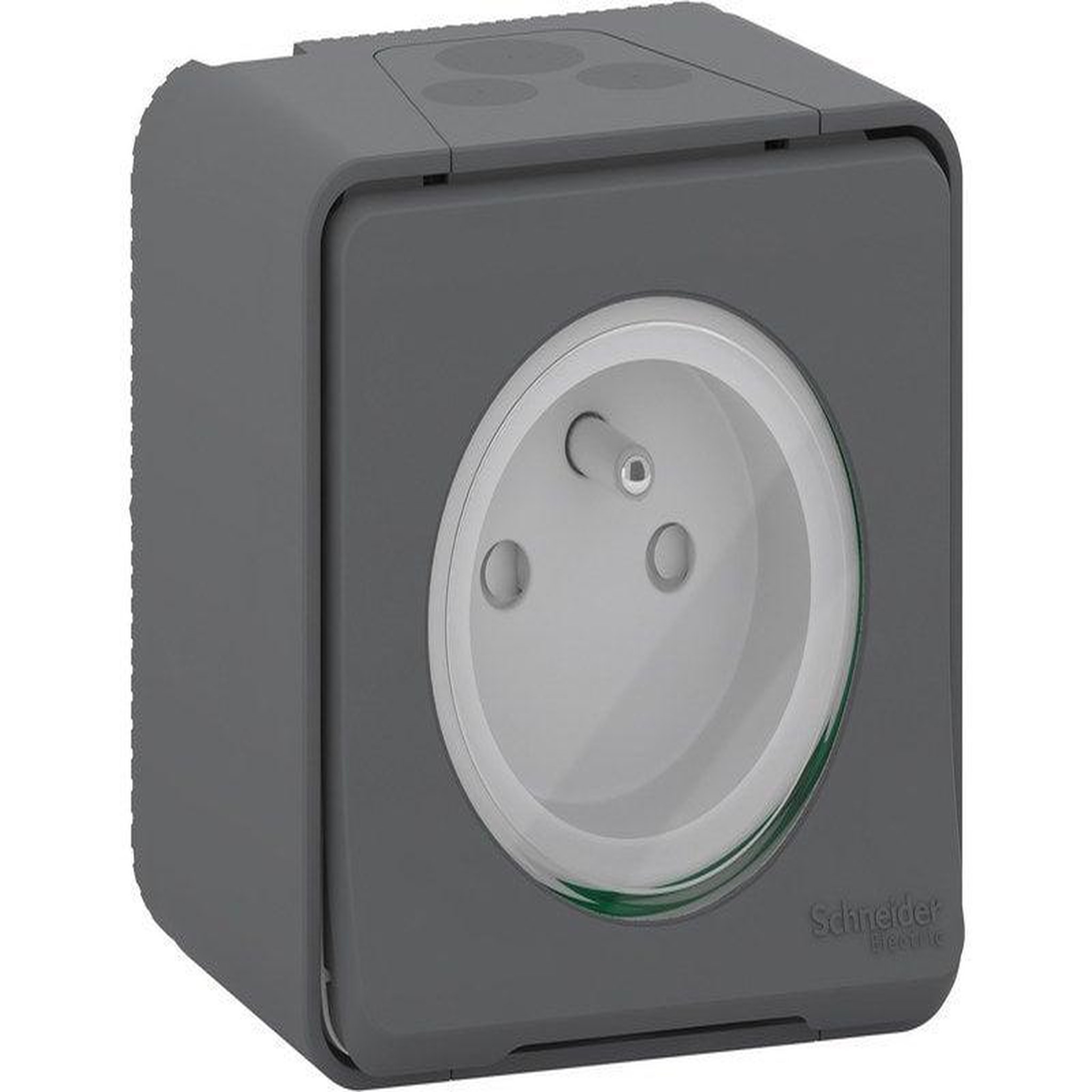 Schneider Electric Prise avec terre saillie Mureva, gris anthracite