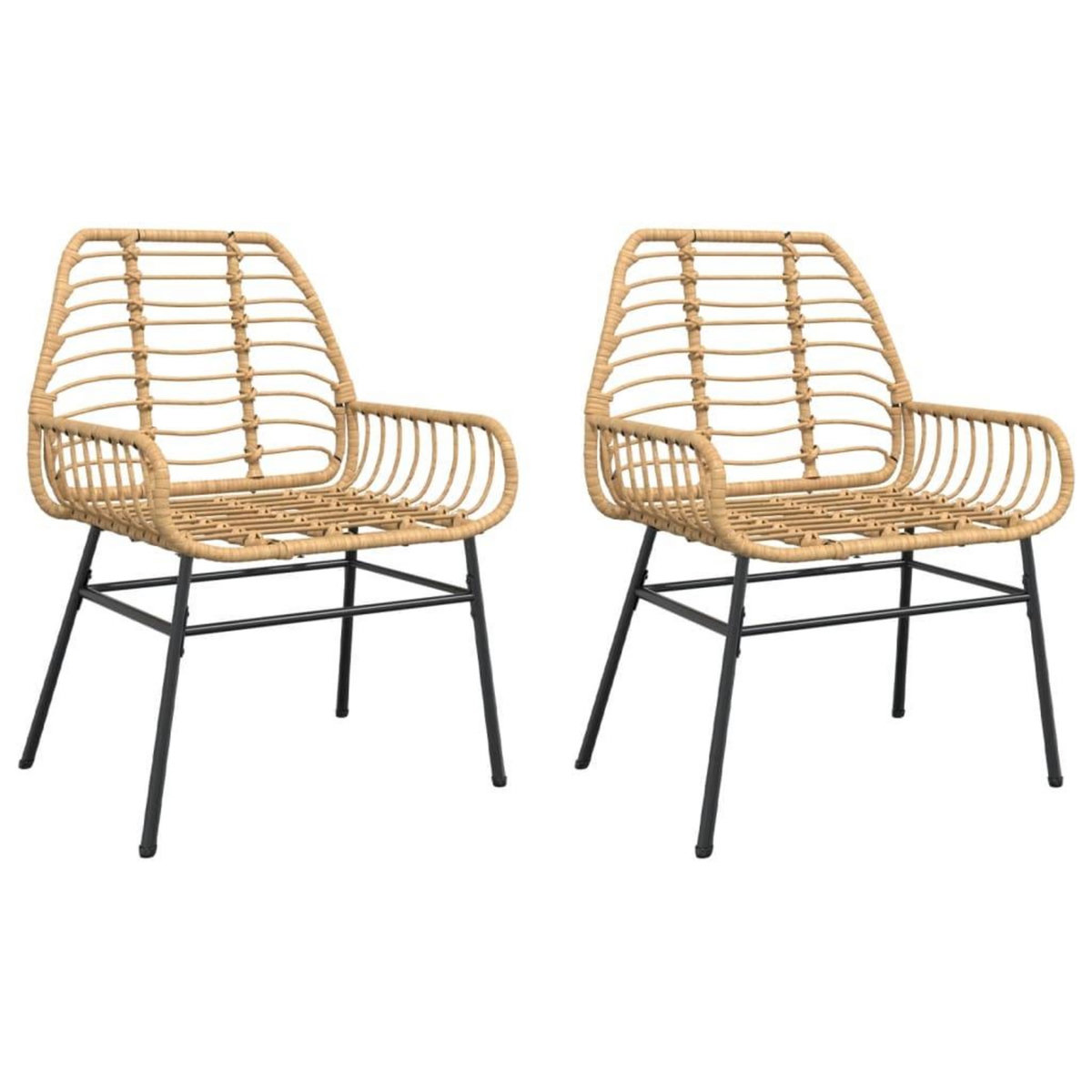 VIDAXL Chaises de jardin lot de 2 marron resine tressee