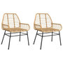 Voir la diapositive 2 : VIDAXL Chaises de jardin lot de 2 marron resine tressee