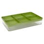 Voir la diapositive 2 : Paris Prix Plateau de Germination  Graines  30cm Vert