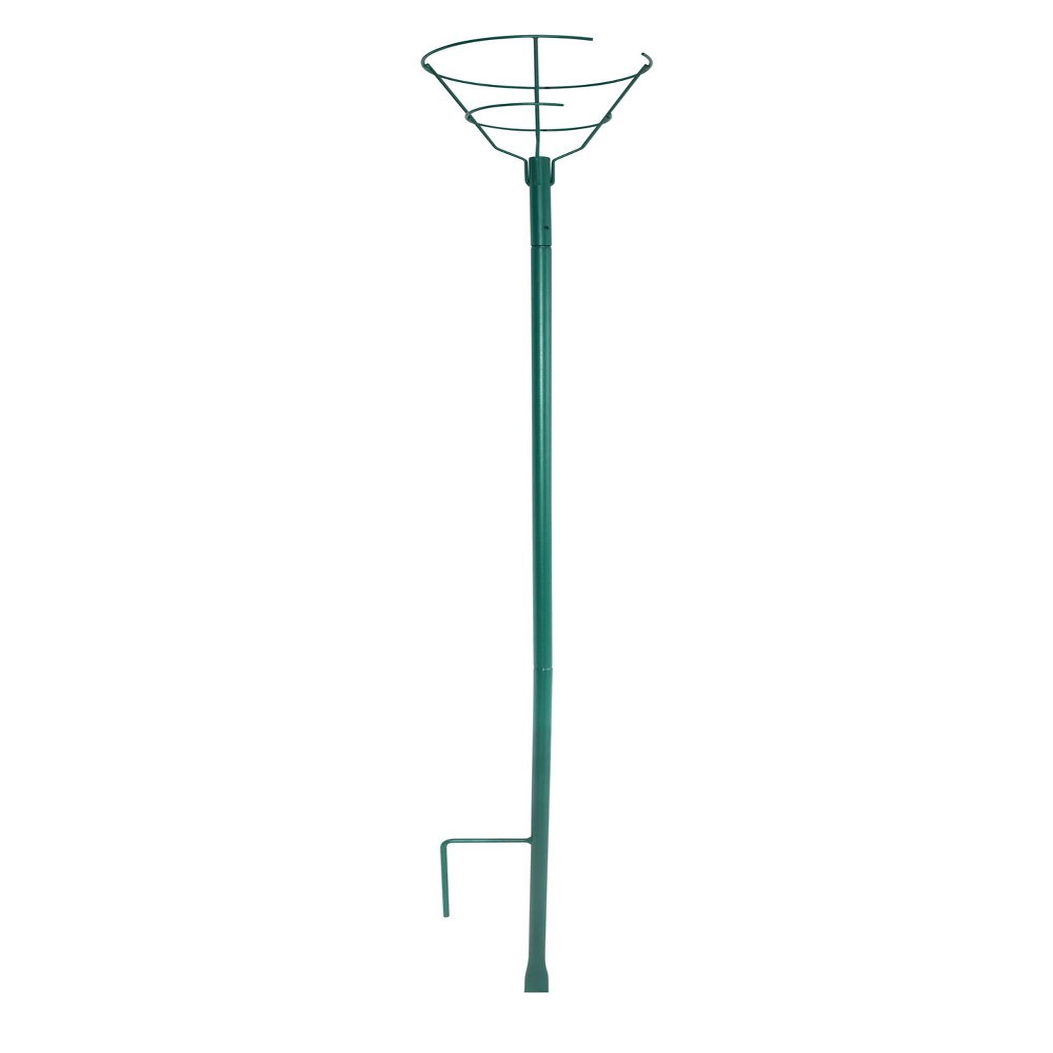 CENTRALE BRICO Tuteur pour rosier tige - 170 cm - vert sapin