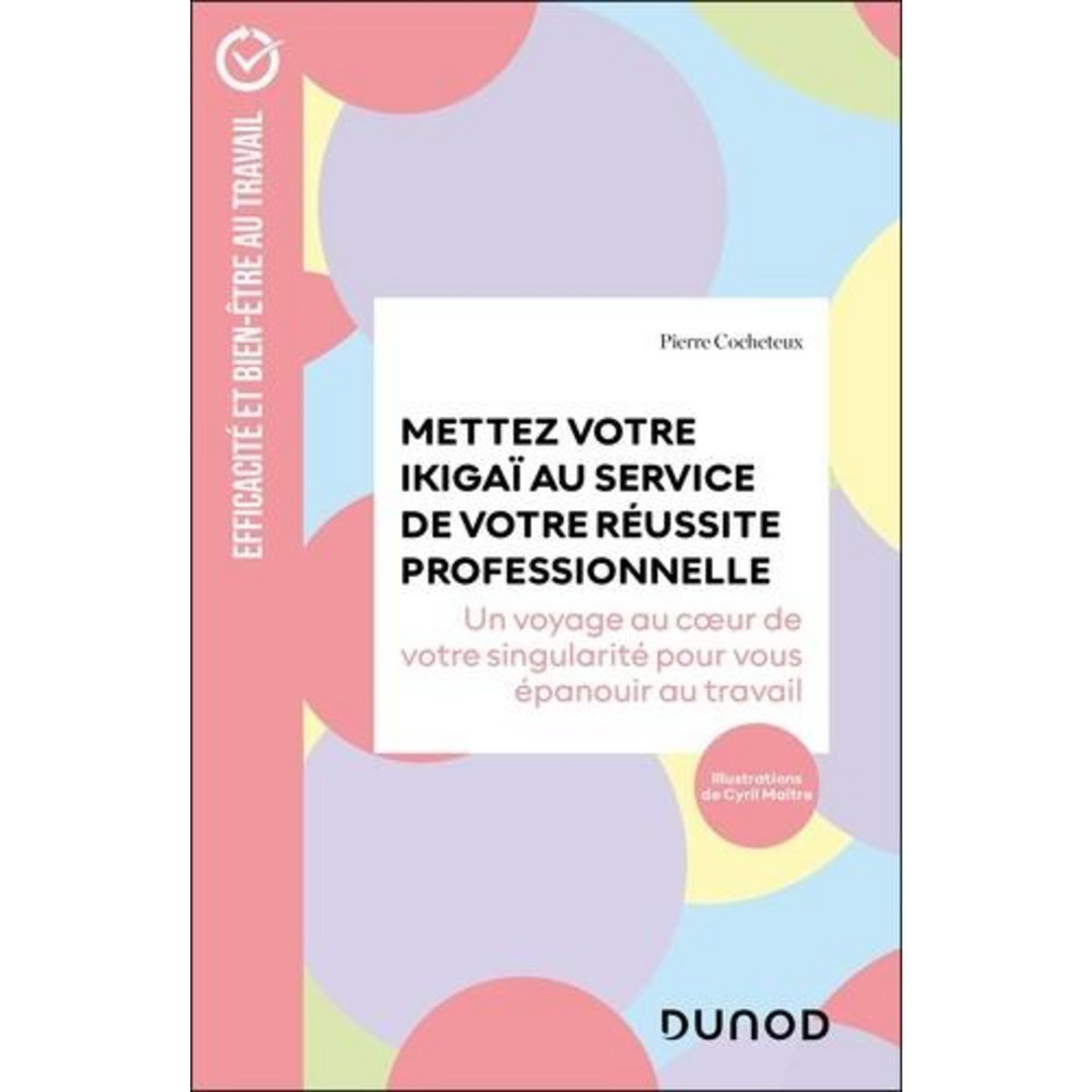 METTEZ VOTRE IKIGAI AU SERVICE DE VOTRE REUSSITE PROFESSIONNELLE. UN VOYAGE AU COEUR DE VOTRE SINGULARITE POUR VOUS EPANOUIR AU TRAVAIL, Cocheteux Pierre