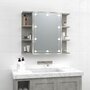 Voir la diapositive 1 : VIDAXL Armoire a miroir avec LED Gris beton 70x16,5x60 cm