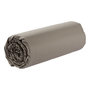 Voir la diapositive 2 : DODO Housse de couette Coton Antibactérien Taupe
