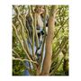 Voir la diapositive 3 : Gardena Coupe-branches EasyCut 110/18V P4A sur batterie - Coupe Ø 28 mm - L. 1140 mm