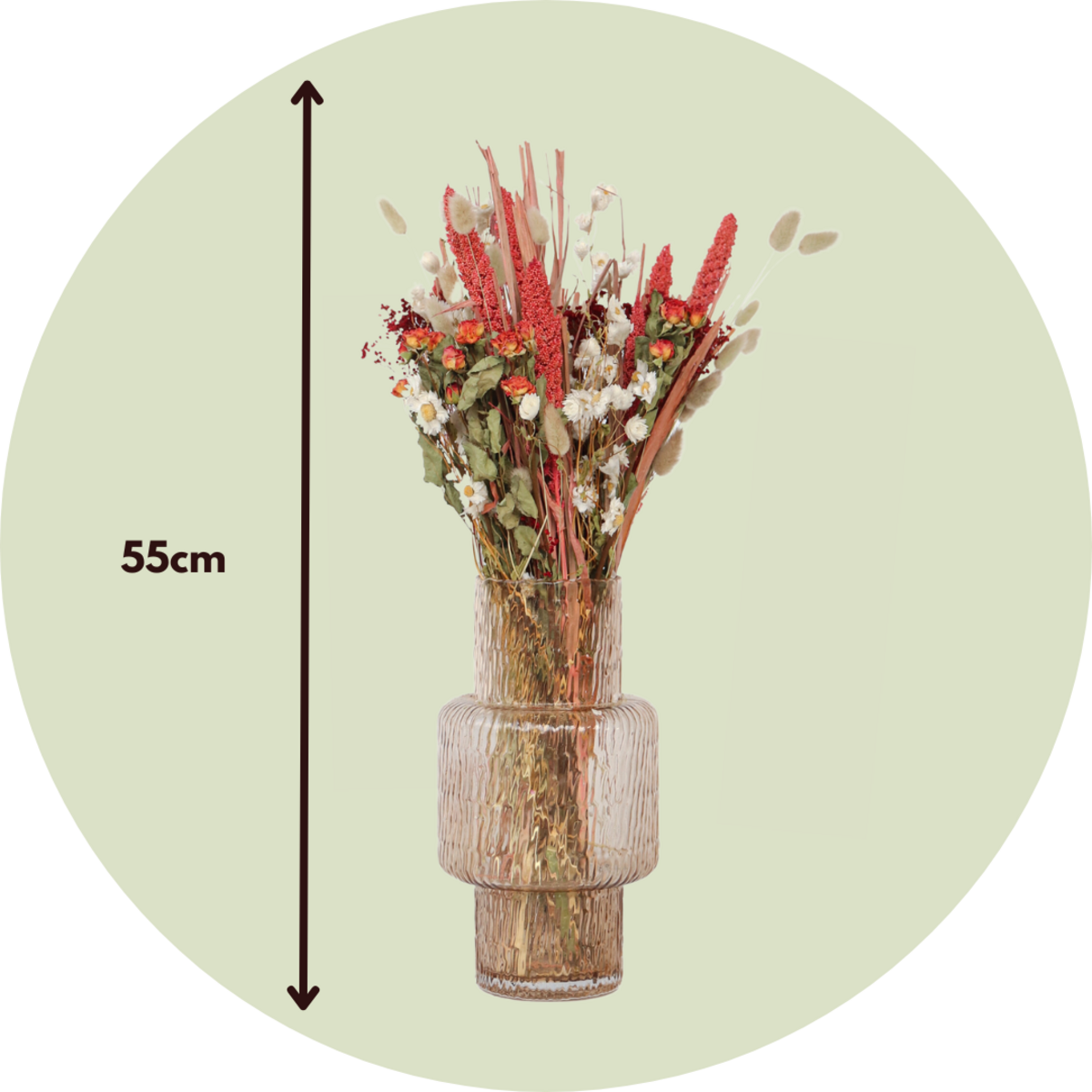 PLANT IN A BOX Fleurs séchées - Bouquet 'Trendy Lady in Red'