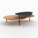 Rendez vous déco Tables gigognes en bois et metal noir (lot de 2)-Moji